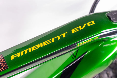 Fuji Ambient Evo 29 19" Electric Bike