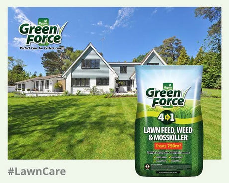 Hygeia Greenforce 4 in 1 Lawn Feed, Weed & Mosskiller 15kg
