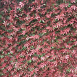 GreenFx Artificial Trellis Hedge - 2m x 1m