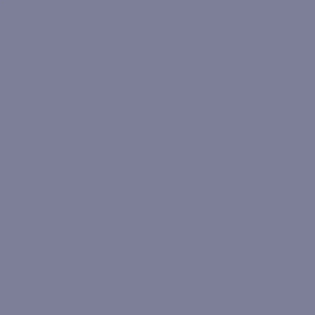 Tractol Ferguson Grey High Gloss Paint (T329) 1 Litre - Durable Finish for Agricultural & Construction Equipment - MK420