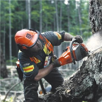 Husqvarna 560 XP Chainsaw