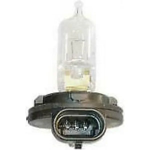 Honda Bulb For TRX 350, 500 Models