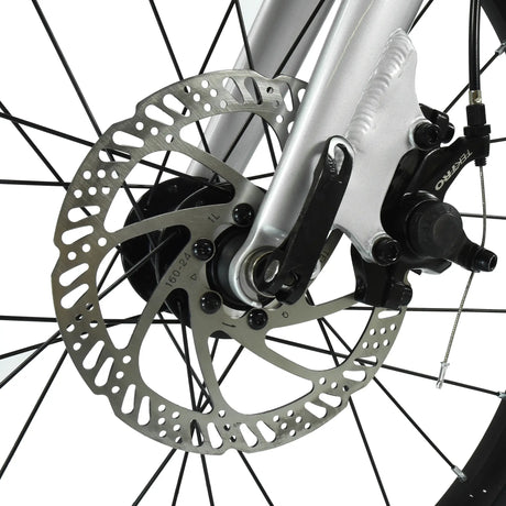 Hoy Pentland 20″ Kids Bike - Titanium Silver