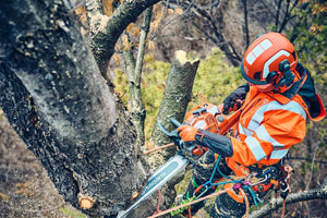 Husqvarna 560 XP Mark II Chainsaw 15" Bar