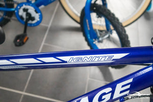 Ignite Vantage 26" Wheel Mountain Bike Blue
