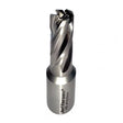 Jefferson 12mm Short Slugger Bit