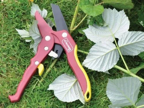 Kingfisher Ratchet Secateur 8" 