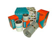 Kubota 500HR Engine Service Kit for RTV X900 - W21TK00093