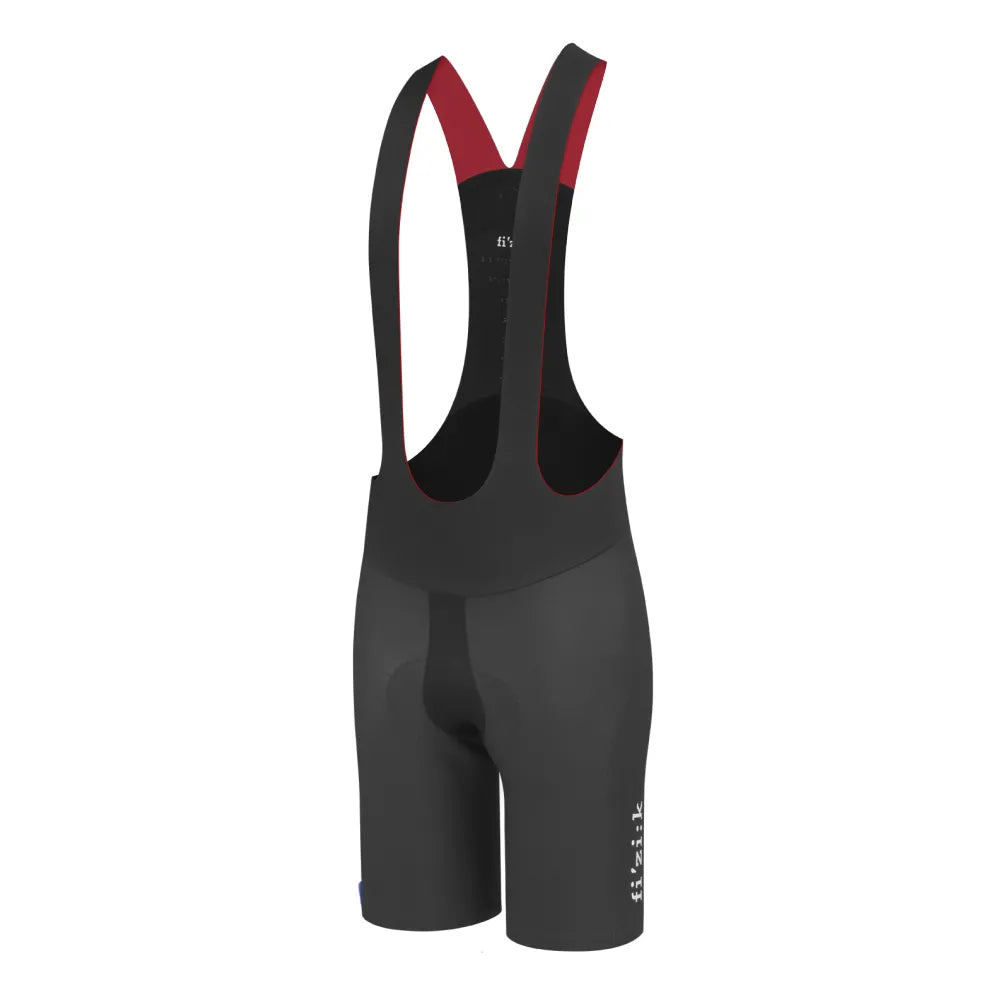 Fizik Link R1 Chameleon Shorts Small