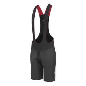 Fizik Link R1 Chameleon Shorts Small