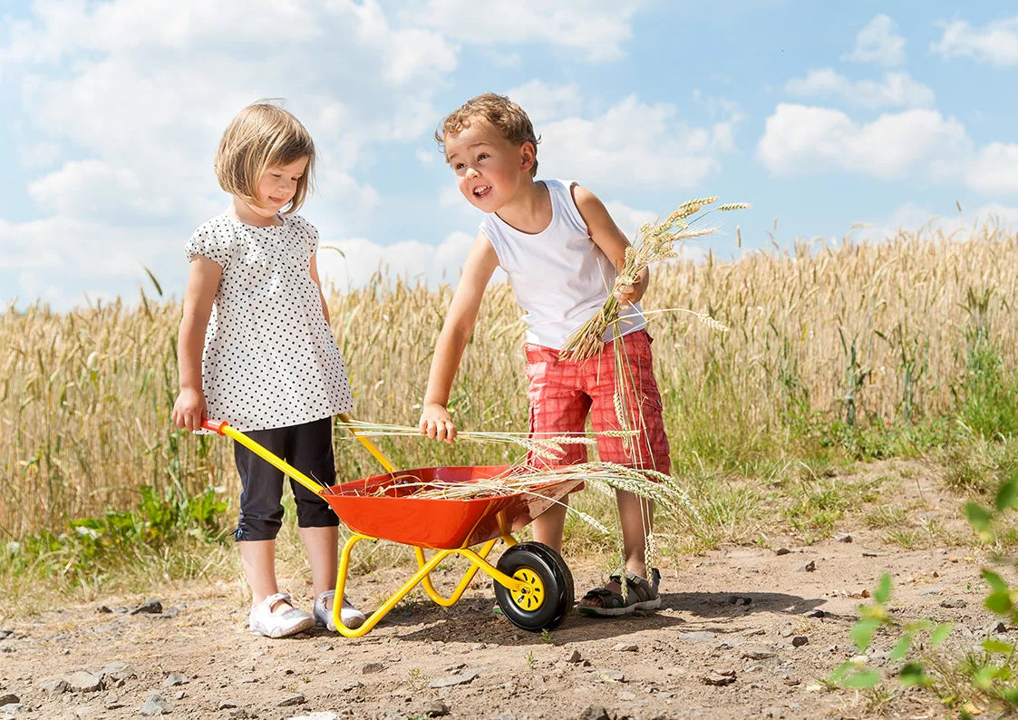 Rolly Wheelbarrow Red