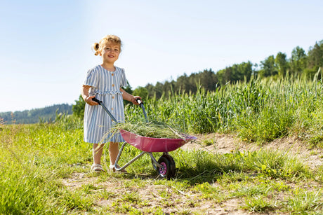 Rolly Wheelbarrow Pink