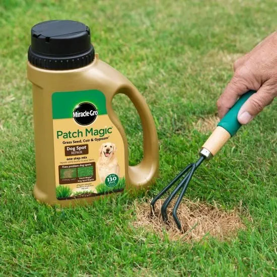 Miracle-Gro Patch Magic Dog Spot Repair