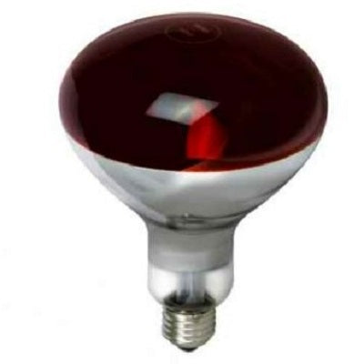 Moy Infrared Heat Lamp Bulb 250W 