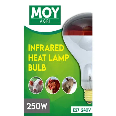 Moy Infrared Heat Lamp Bulb 250W 