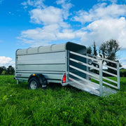 M-Tec 8ft x 4ft Trailer with Rear Access Gate & Canopy