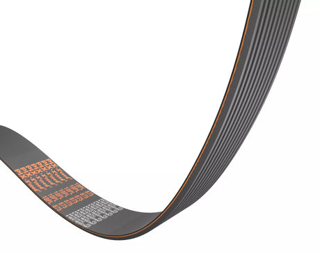 Multigrip Belt J 381 H21 | 8-Groove Belt for Professional Slicers | Compatible with Oberwerk, Rheninghaus-Tecmal, Omega