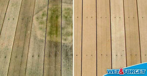Wet & Forget 20 Litre Mould, Moss, Algae & Lichen Remover