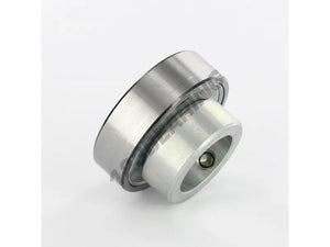 RAE30NPP 30mm INA Bearing Insert 