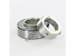 RAE30NPP 30mm INA Bearing Insert 