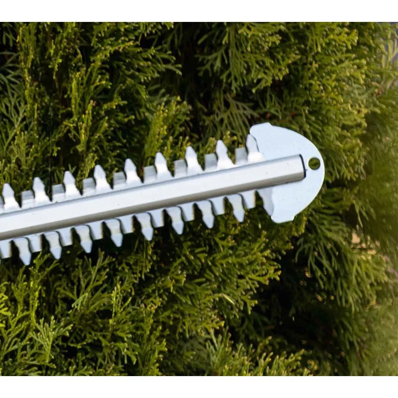 Scheppach 20V Cordless Electric Hedge Trimmer C-HT570-X with Battery & Charger
