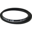 SPA2500 V-Belt (12.7x10mm) - 2518mm Outside Length | MAGURETTA & FELLA Compatible