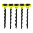 Timco Collated Drywall Screws - PH Bugle Head, Coarse Thread, Black (3.5mm x 50mm) - 1000 Screws