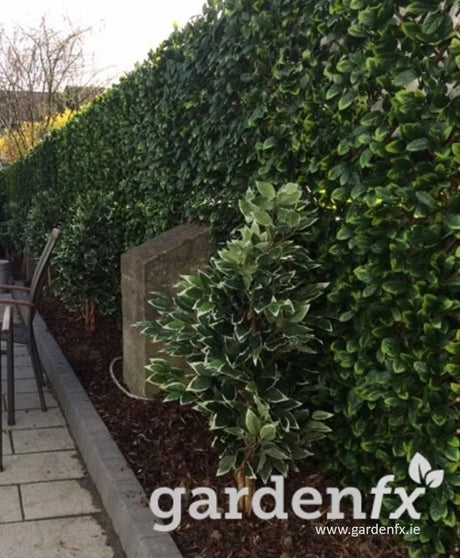 GreenFx Savanna Artificial Hedge - 1m x 2m