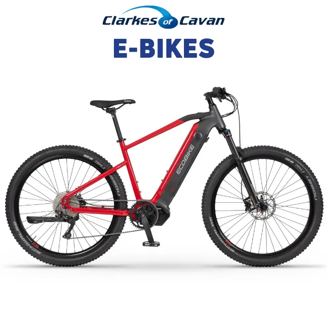 Electric Bikes