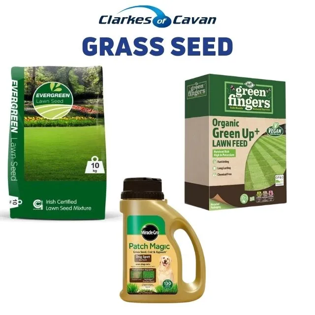 Grass Seed