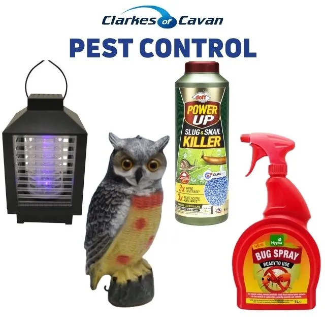 Pest Control