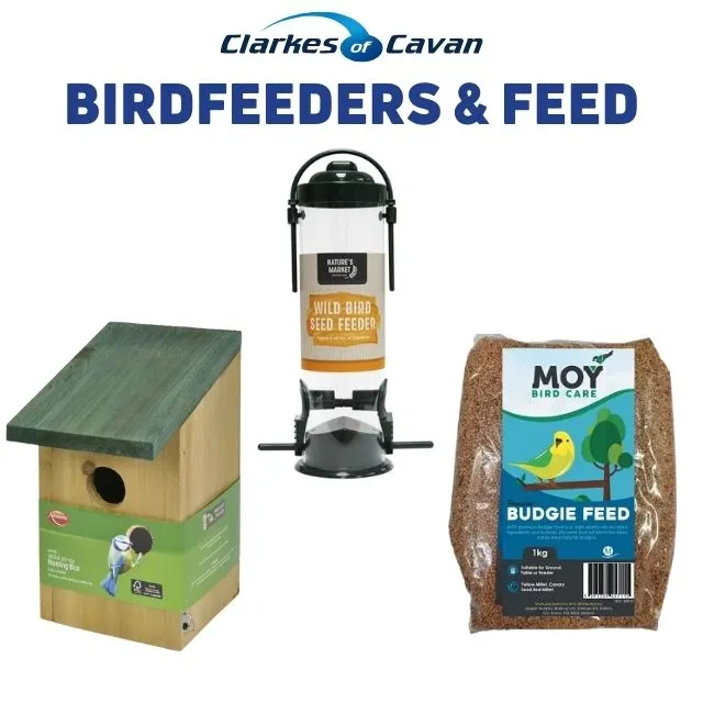 Birdfeeders & Feed