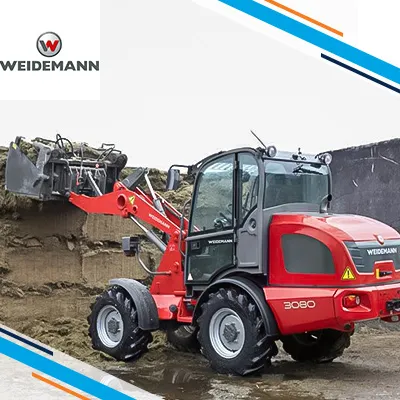 Weidemann