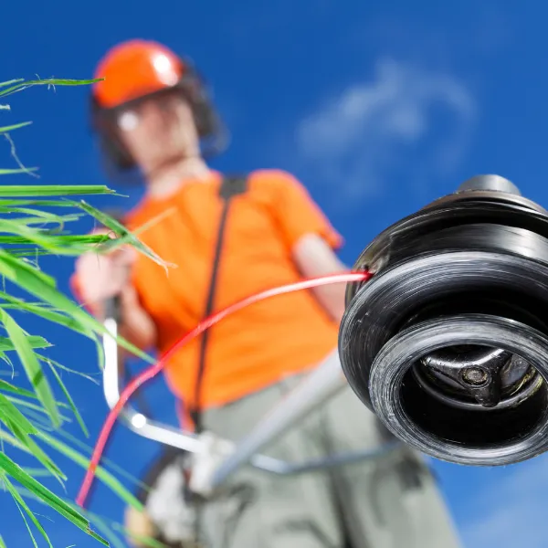 what to consider when buying new strimmer