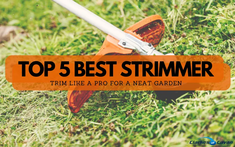 Top 5 Best Strimmers of 2023 - Trim Garden Like a Pro